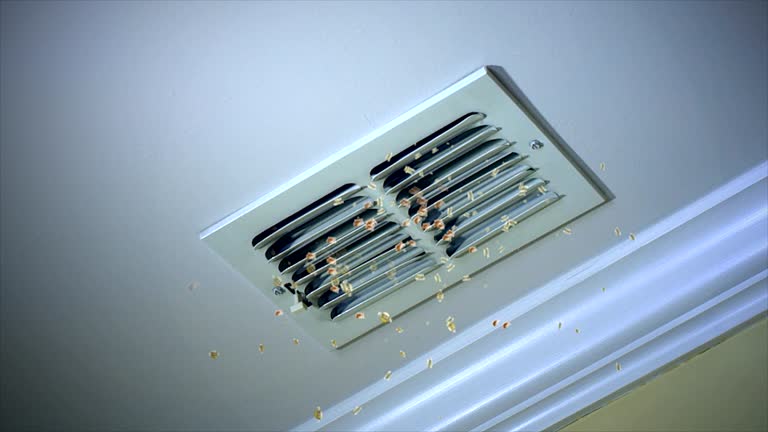 Best Emergency Air Duct Cleaning  in Bishop, CA
